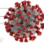 US explores possibility that coronavirus started in Chinese lab, not a market