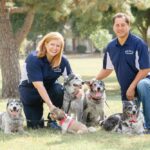 Professional Carpet Cleaning Midlothian TX