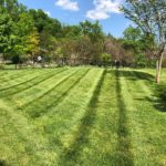 Lawn Maintenance Company Brentwood