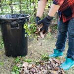 Professional Garden Waste Clearance: Essential Tips for a Clean and Tidy Garden
