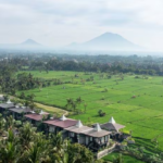 Gdas Bali offers vegan wellness with a hint of hip-hop in Ubud – Hotel Insider