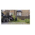 Tree Surgeons South London