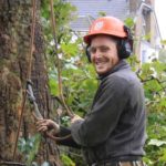 Tree Surgeons Dartford