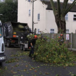 Tree Surgeons South London